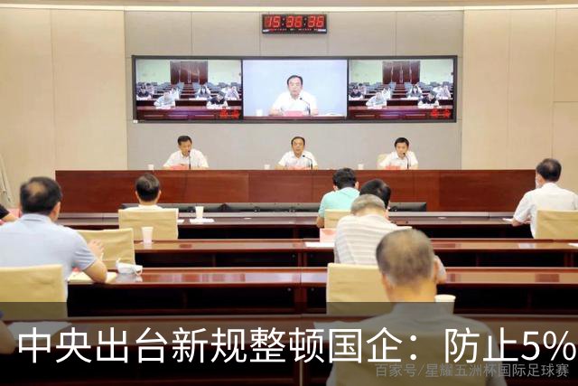 中央出台新规整顿国企：防止5%中高层拿走80%工资总额