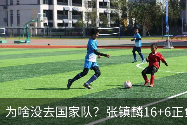 为啥没去国家队？张镇麟16+6正负值全场最高 隔扣深圳大外援点燃现场