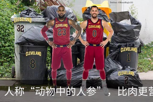人称“动物中的人参”，比肉更营养，6块钱一斤，好吃实惠别错过