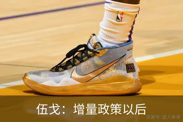 伍戈：增量政策以后