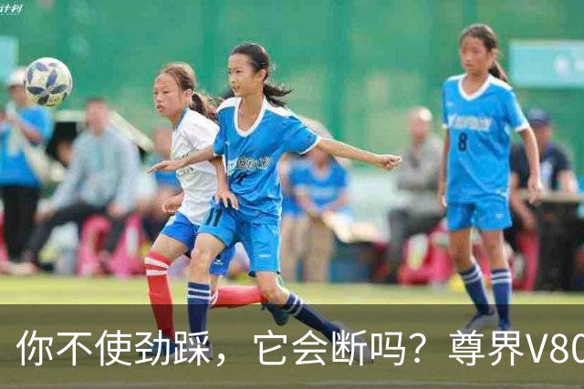 你不使劲踩，它会断吗？尊界V800 是台好车！