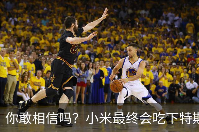 你敢相信吗？小米最终会吃下特斯拉中国的全部市场份额！