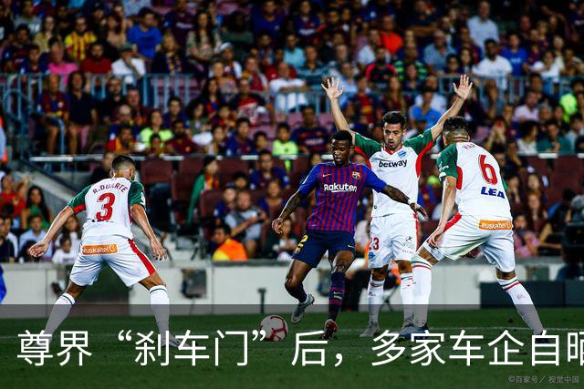 尊界“刹车门”后，多家车企自晒制动踏板：“最大承压可超3000N”