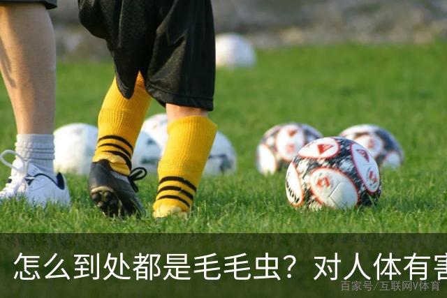 怎么到处都是毛毛虫？对人体有害吗？专家：别慌，对人无害