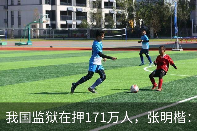 我国监狱在押171万人，张明楷：能少关就少关，重刑无益