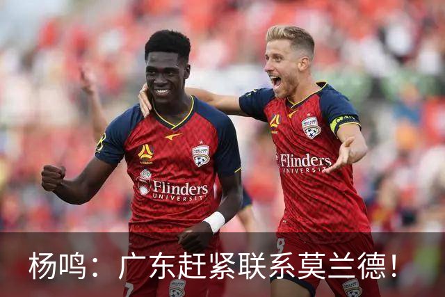 杨鸣：广东赶紧联系莫兰德！