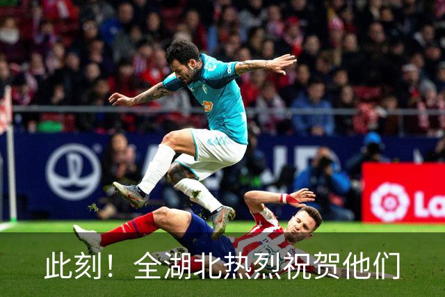 此刻！全湖北热烈祝贺他们