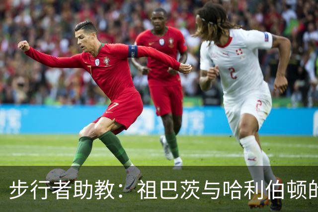 步行者助教：祖巴茨与哈利伯顿的挡拆相比他与哈登的挡拆完全不同
