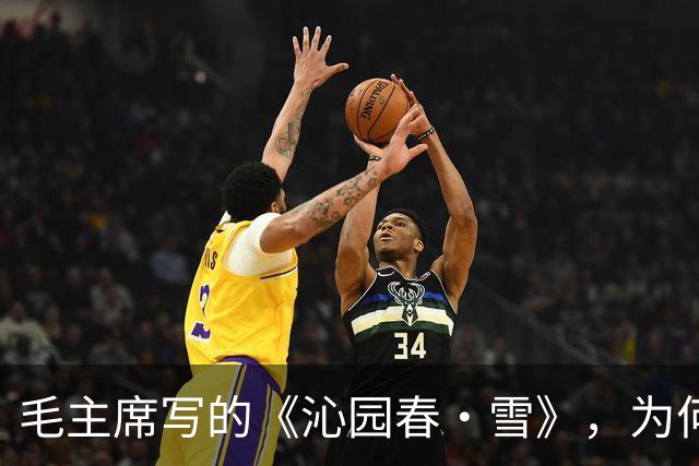 毛主席写的《沁园春·雪》，为何没有提到朱元璋？