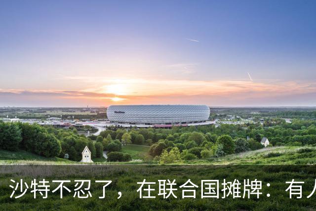 沙特不忍了，在联合国摊牌：有人暗中送胡塞武器装备，嘴巴上却谈和平