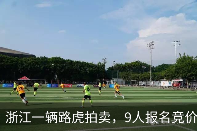 浙江一辆路虎拍卖，9人报名竞价，被人以3.3万竞得