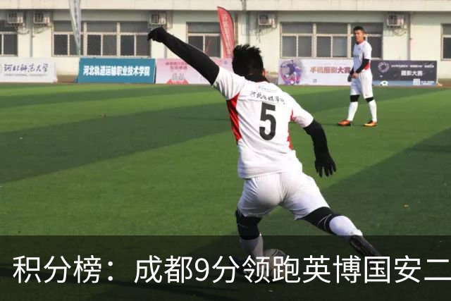 积分榜：成都9分领跑英博国安二三名 海牛降级三镇倒二