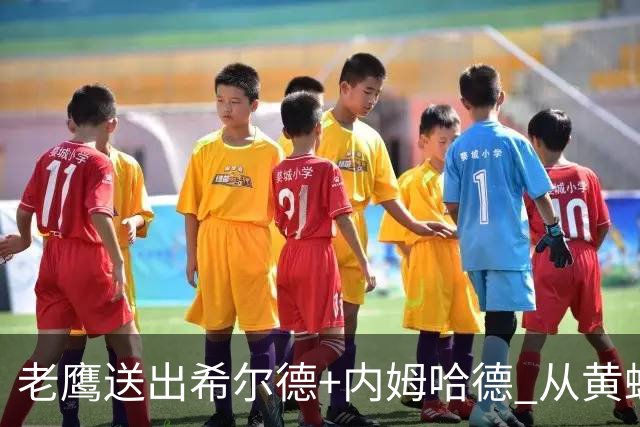 老鹰送出希尔德+内姆哈德 从黄蜂得到芬尼-史密斯