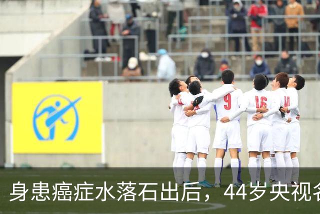 身患癌症水落石出后，44岁"央视名嘴"杨帆，如今换了另一条路走