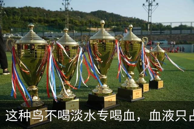 这种鸟不喝淡水专喝血，血液只占食谱十分之一