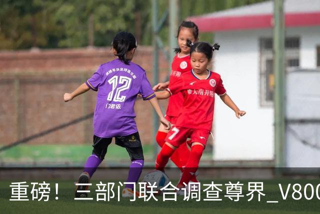 重磅！三部门联合调查尊界 V800 踏板断裂，尊界表示将积极响应