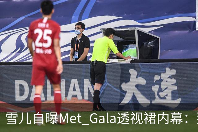 雪儿自曝Met Gala透视裙内幕：那块布料在美国竟不合法