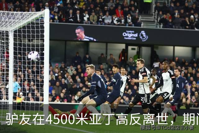 驴友在4500米亚丁高反离世，期间姐姐全网求免费直升机，牧民报价1万被她拉黑