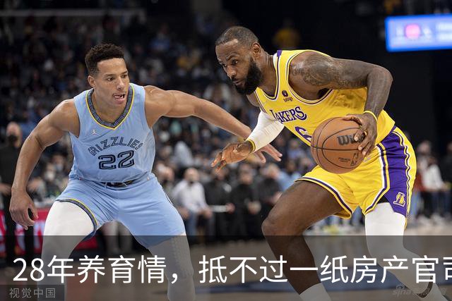 28年养育情，抵不过一纸房产官司？