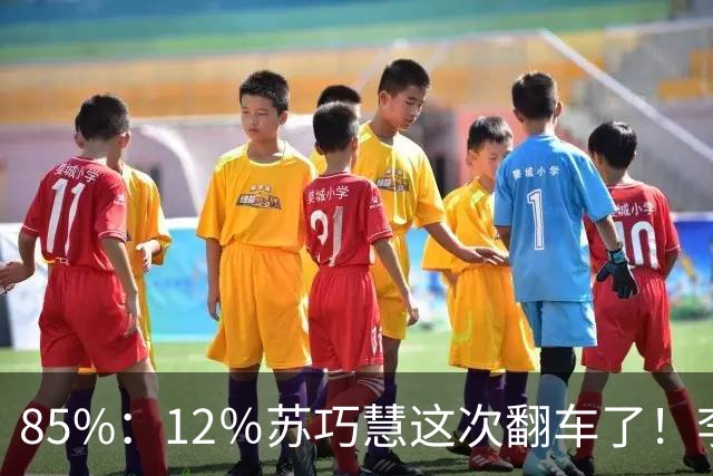 85%：12％苏巧慧这次翻车了！李四川终于想通了，郑丽文获得认可